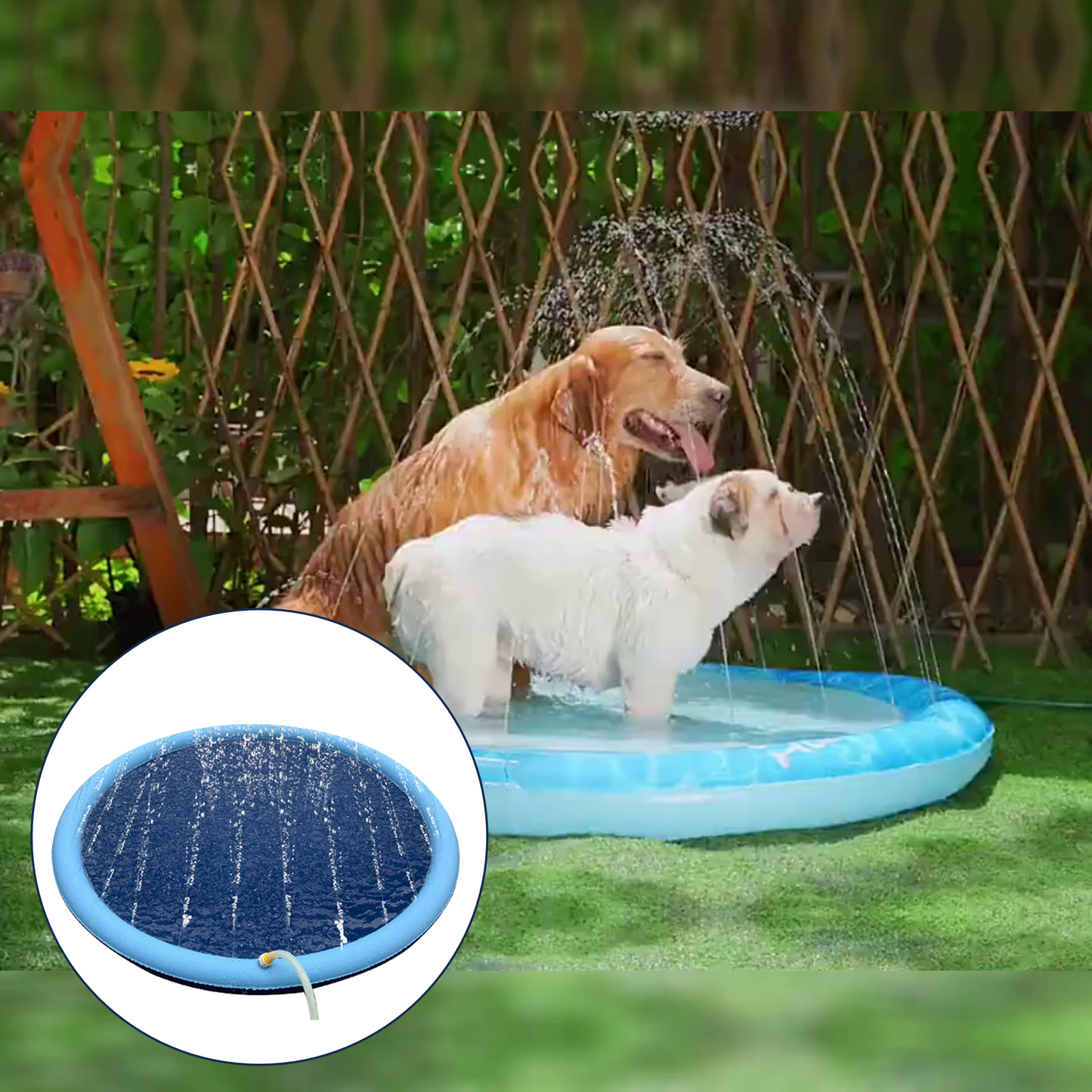 Doggiesplash| Forfriskende hundebasseng