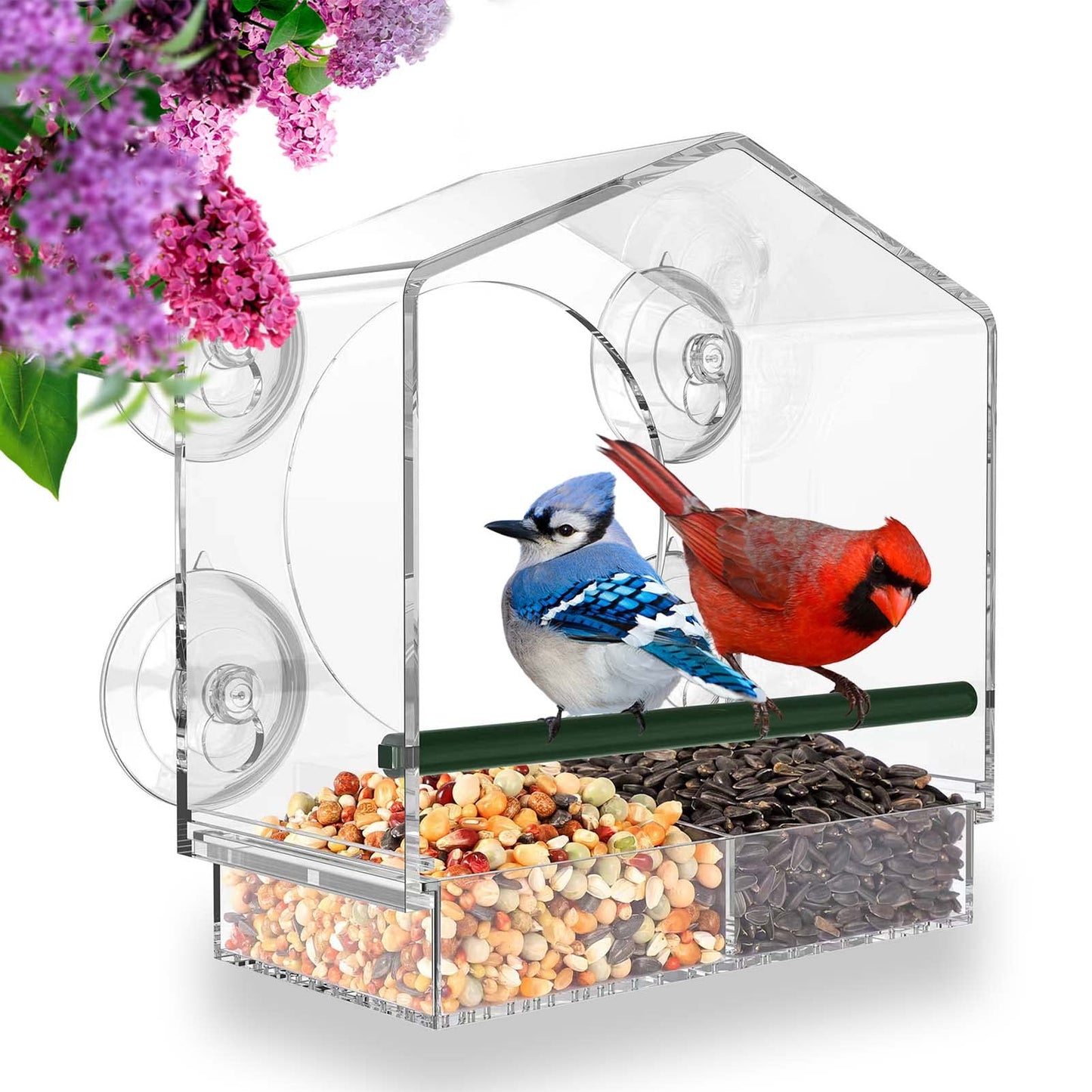 FeatherFeast™ | Fuglemater for vindu