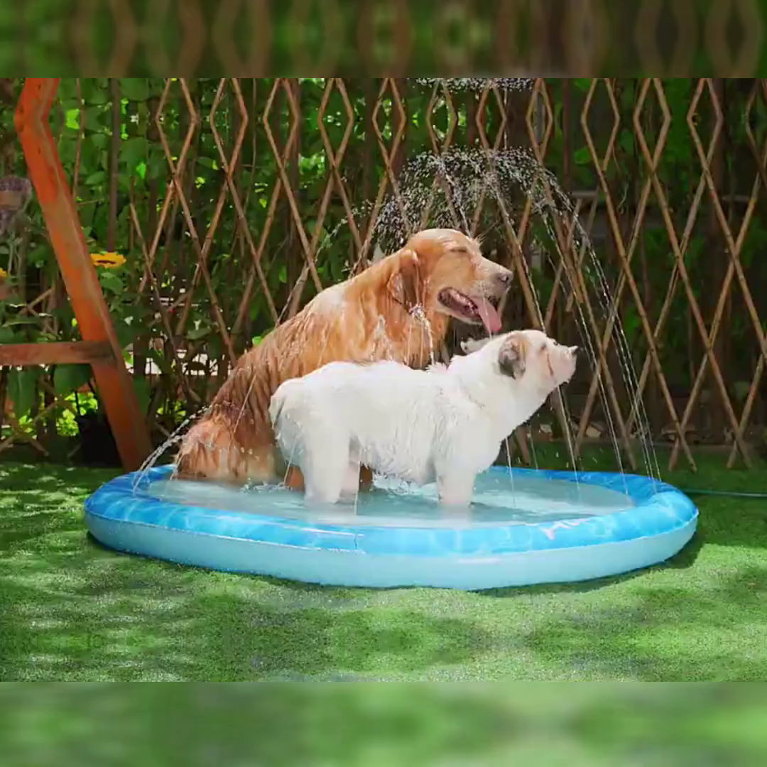 Doggiesplash| Forfriskende hundebasseng