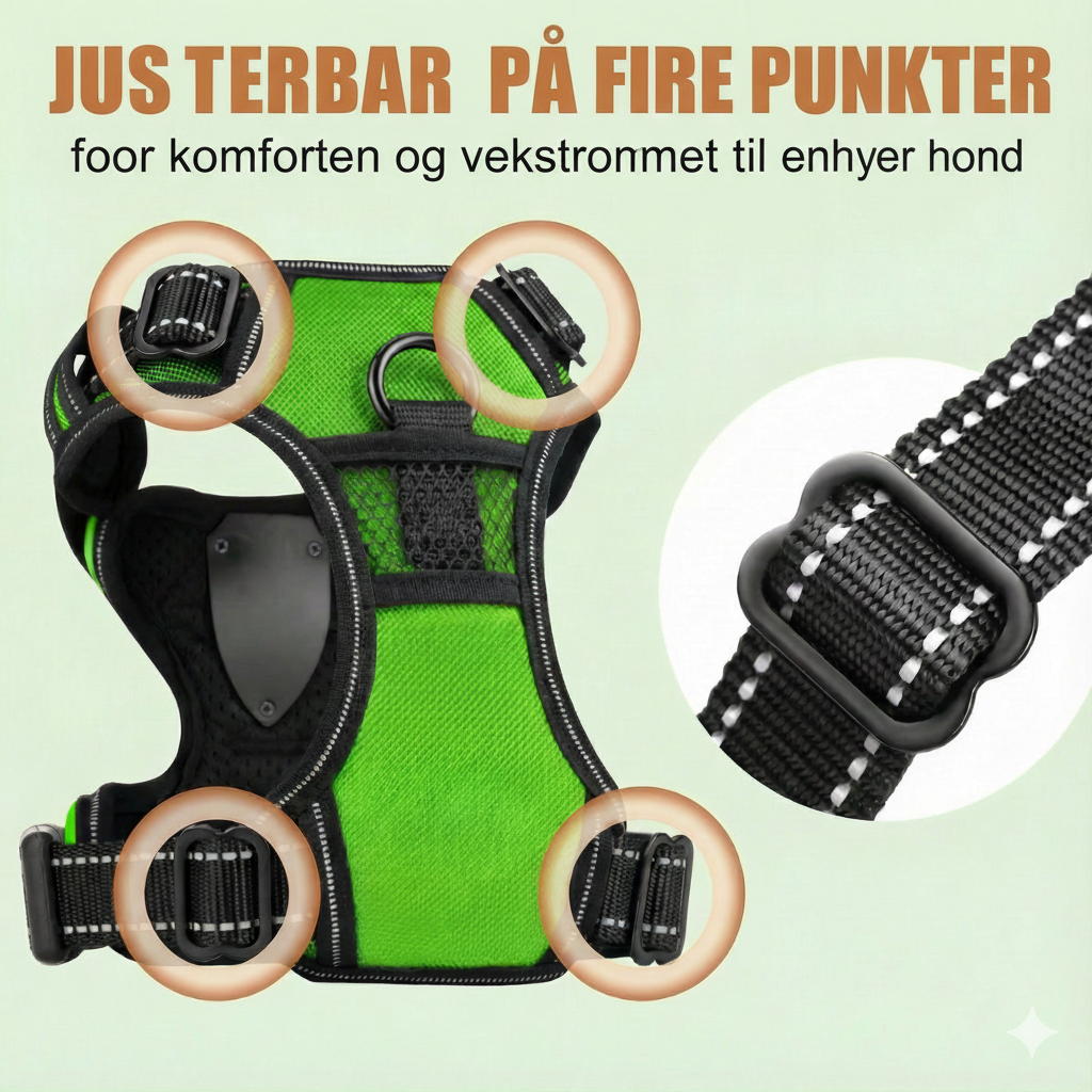 LumiHale™ – Trygghet i hvert skritt