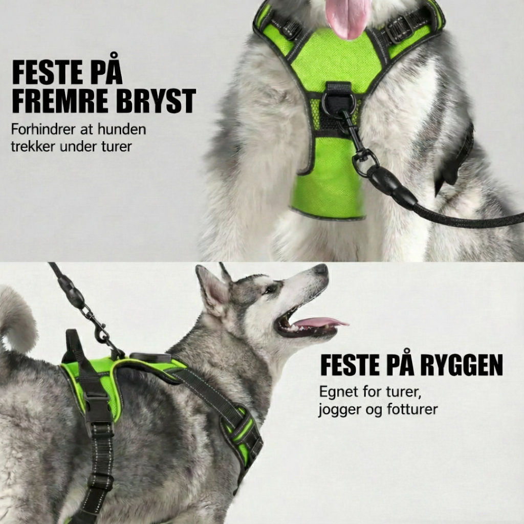 LumiHale™ – Trygghet i hvert skritt