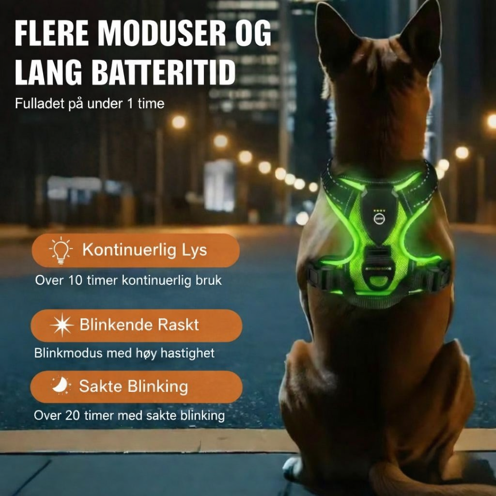 LumiHale™ – Trygghet i hvert skritt